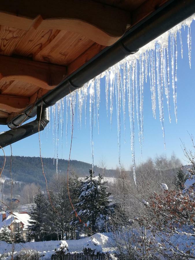 Przystan Gromadzyn Lägenhet Ustrzyki Dolne Exteriör bild